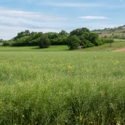 DSCF0062