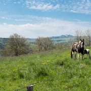 DSCF0120