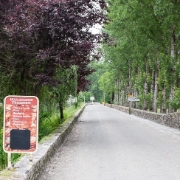 DSCF0332