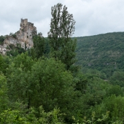 DSCF0542