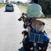 DSCF0869