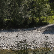 DSCF0842