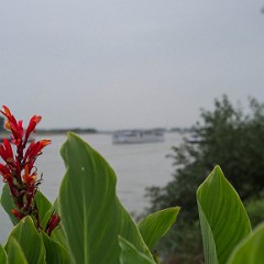 _DSF2303
