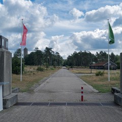 _DSF2333