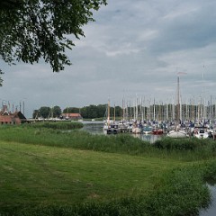 _DSF2397