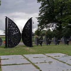 _DSF2421