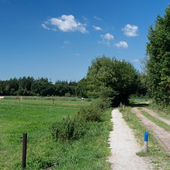 _DSF2445