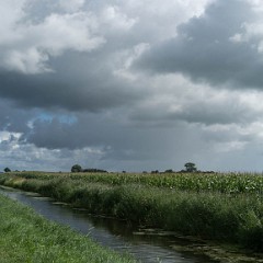 _DSF2502