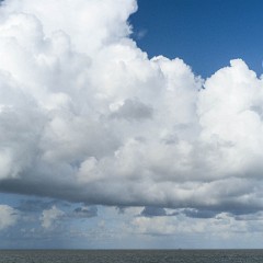 _DSF2510