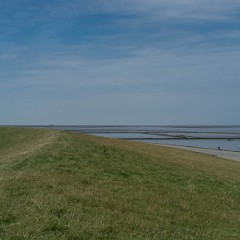 _DSF2566
