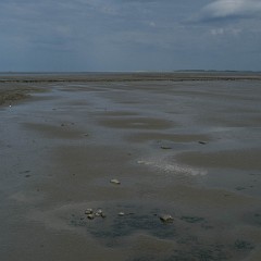 _DSF2569