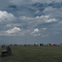 _DSF2575