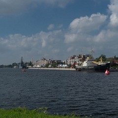 _DSF2597