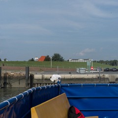 _DSF2598