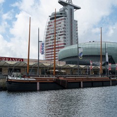 _DSF2610