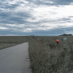 _DSF2622