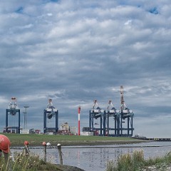 _DSF2623