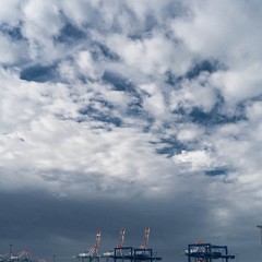 _DSF2624