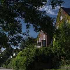 _DSF2654