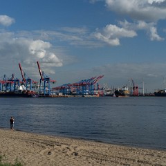 _DSF2658