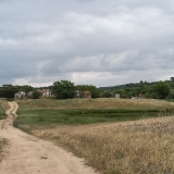 _DSF1989